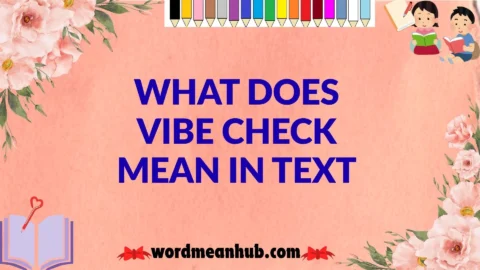What Does Vibe Check Mean in Text