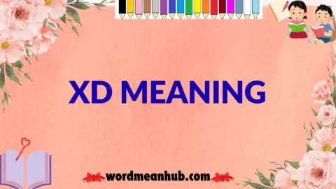 xd meaning